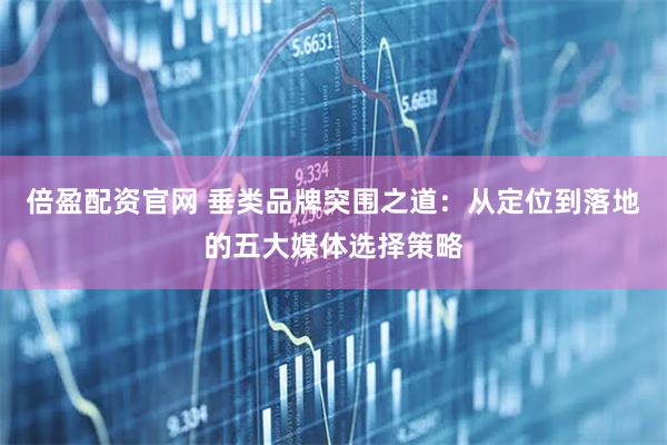 倍盈配资官网 垂类品牌突围之道：从定位到落地的五大媒体选择策略